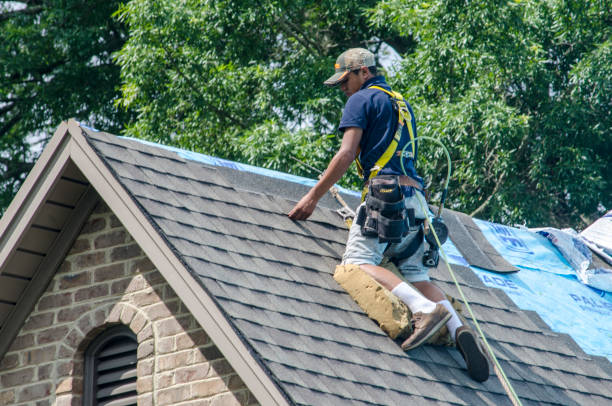 Best Residential Roofing Contractor  in Rushvle, IL