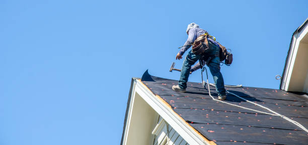 Best Roof Inspection Near Me  in Rushvle, IL